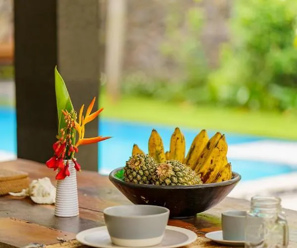 Coco Garden Pool 3* Kubutambahan