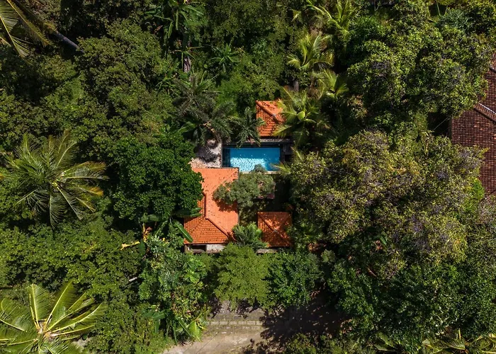 Coco Garden Pool 3*