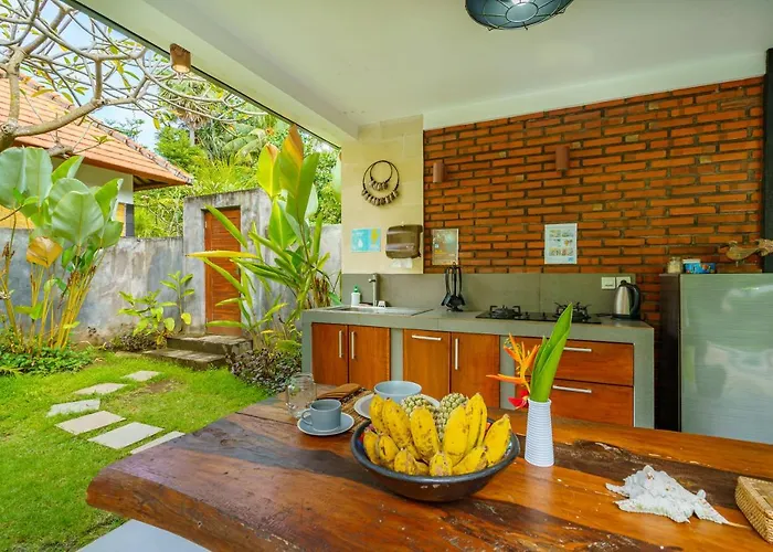 Coco Garden Pool Kubutambahan (Bali)