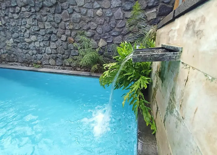 Coco Garden Pool ゲストハウス Kubutambahan